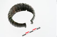 Foto von Bronzemelonenarmreif (NHMW-PRAE-024374)